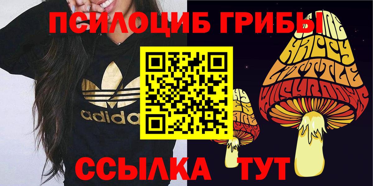 Галлюциногенные грибы Psilocybe  Вход с VPN  Обь 